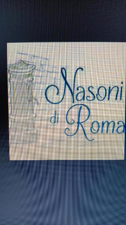 Nasoni Di Roma Aparthotel ภายนอก รูปภาพ