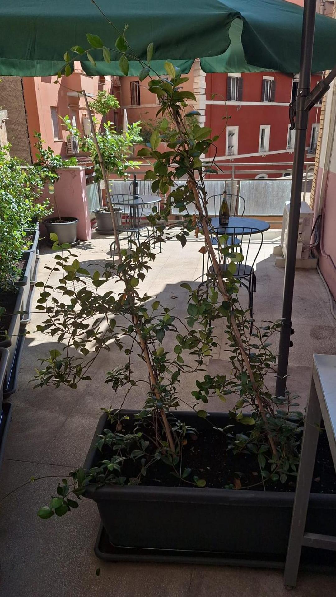 Nasoni Di Roma Aparthotel ภายนอก รูปภาพ